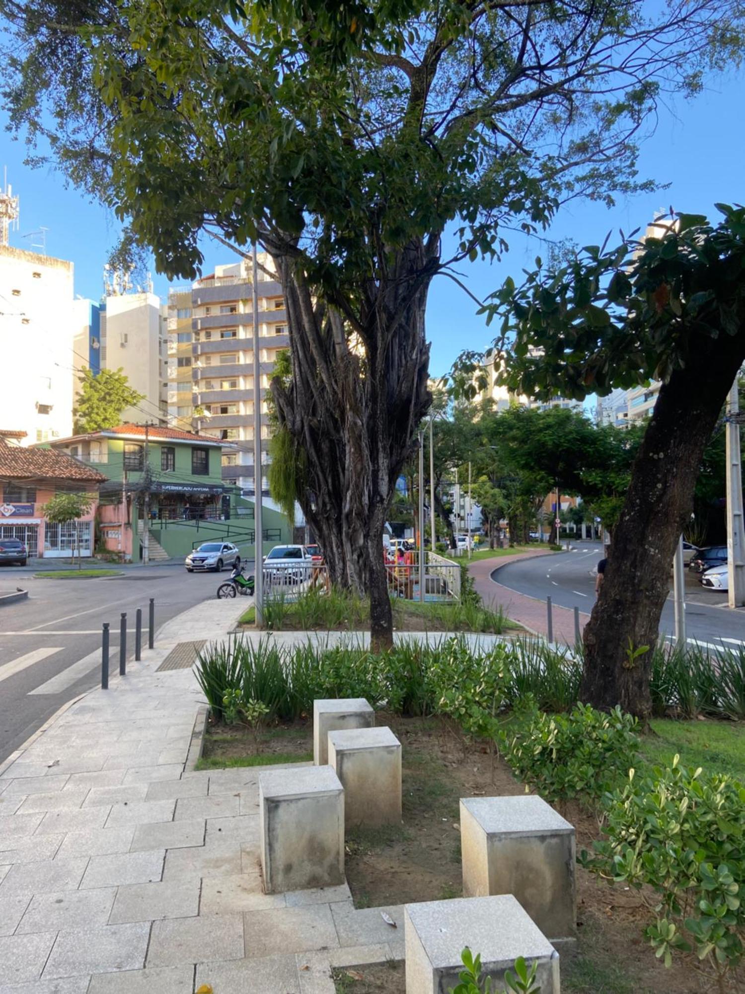 Sala Excelente Localizacao Rua Arborizada Paralela As Praias De Ondina E Barra Com Wifi E Garagem Propria * Salvador
